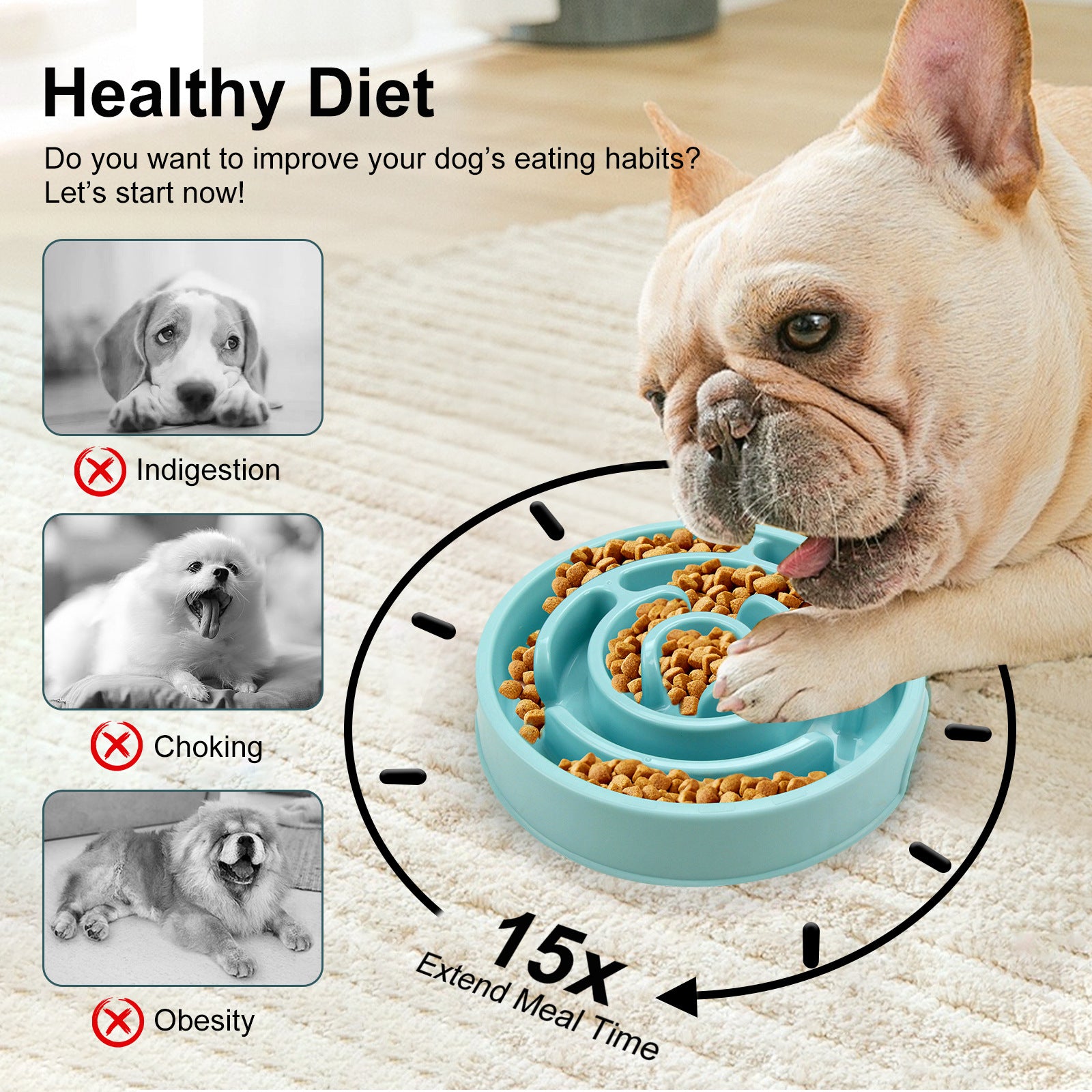 Smart Slow Feeder Bowl That Dogs LoveSmart Slow Feeder Bowl That Dogs Love